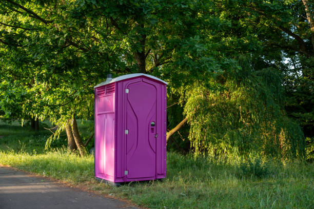 Best High-end porta potty rental  in Minnetrista, MN